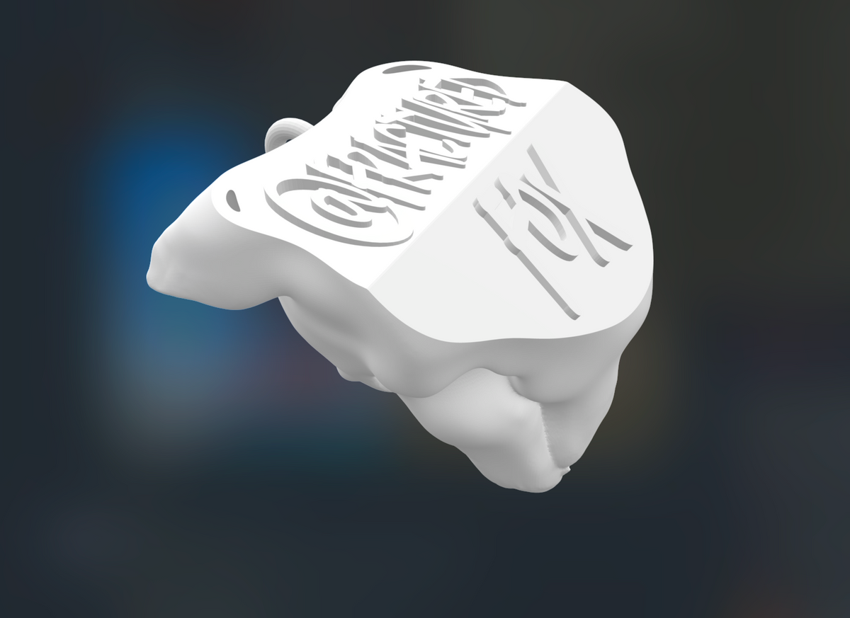 VXN MASK  - 3D printed charm